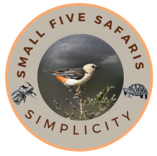 Small Five Safaris